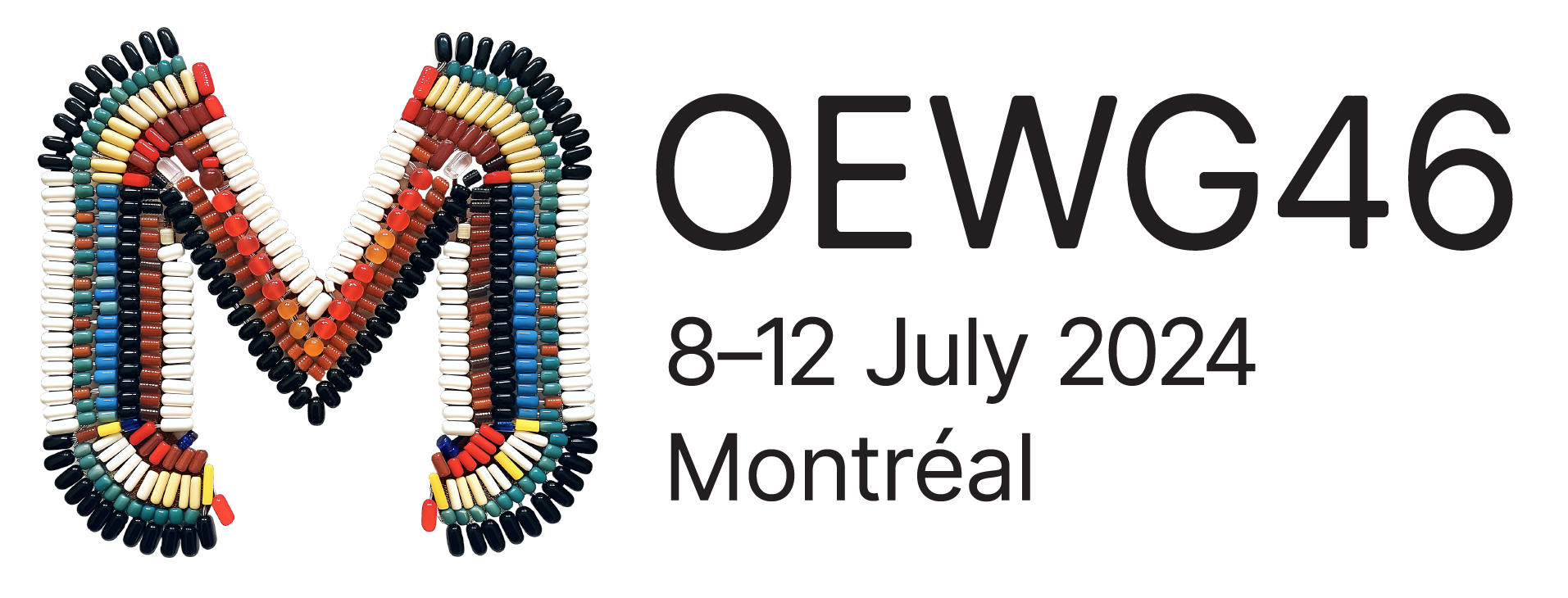 OEWG46 logo