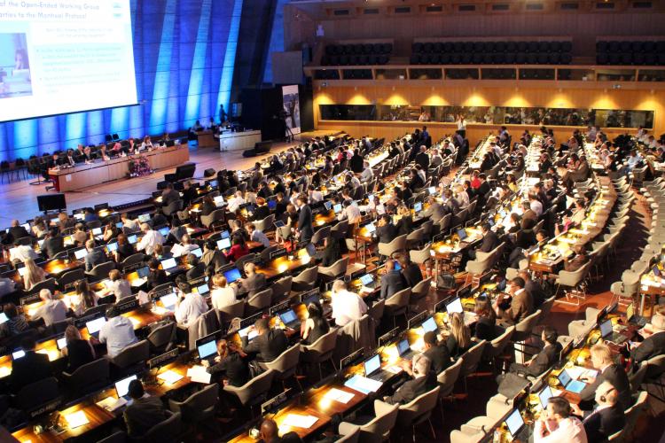 Scientific Assessment Panel of Montreal Protocol Gets New Co-Chairs
