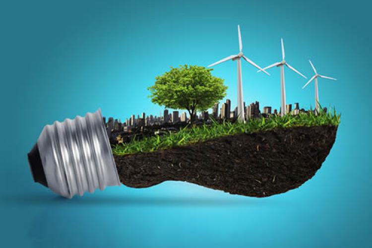 Working towards climate neutrality